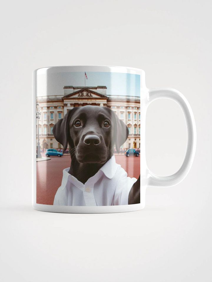 Buckingham Palace Paws and Pose Dog Selfie #Humorous Mug - White product image (1)