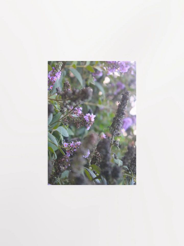 A Study in Flowers 6 product image (8)