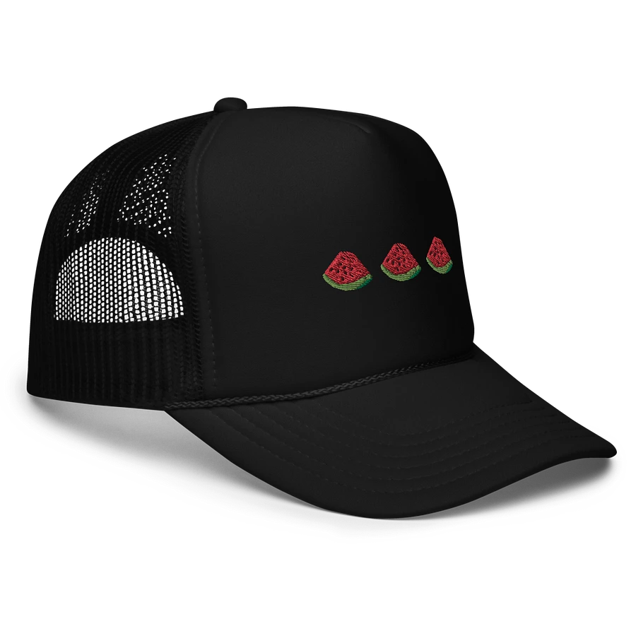 Sandia Trucker Hat (black) product image (3)