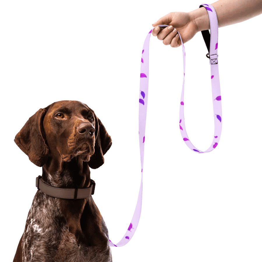 Petals In The Wind Pet Leach product image (7)