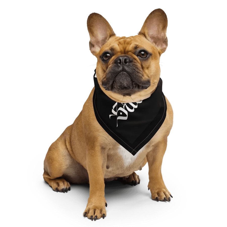 Shut Your Mouth Bandana product image (6)