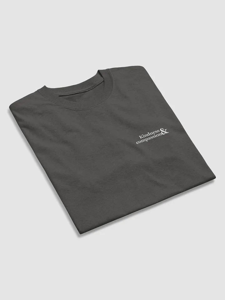 Kindness and compassion t-shirt product image (13)