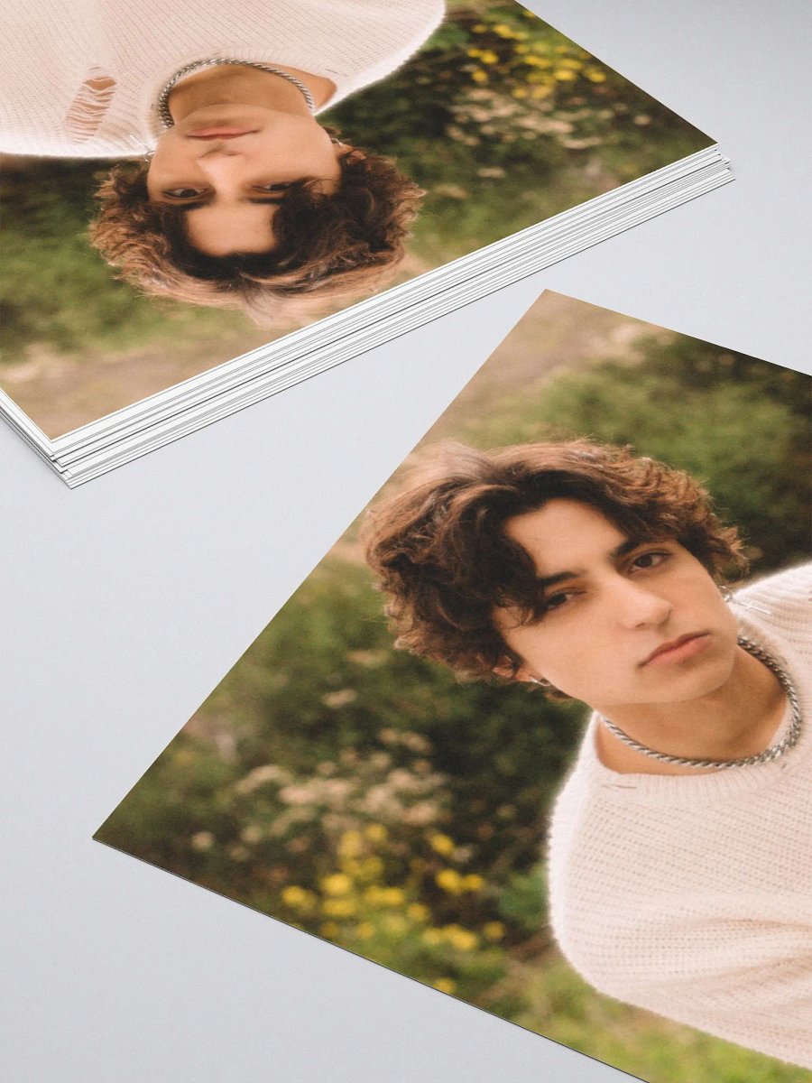 David Lee Photo Sticker product image (11)