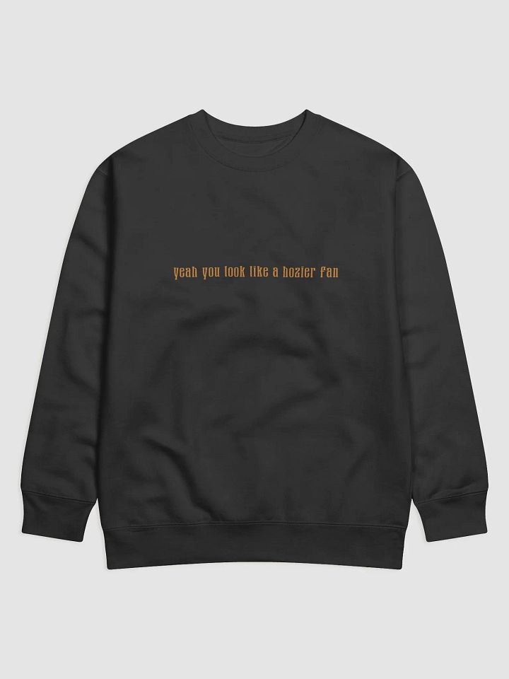 Hozier Fan Sweatshirt product image (1)