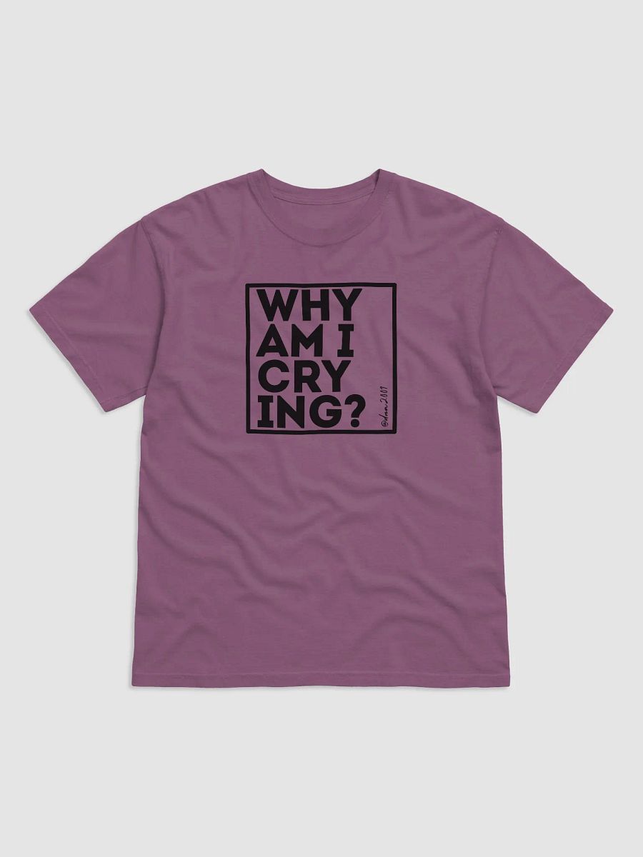 Why Am I Crying? product image (4)
