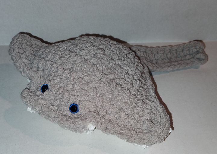Manta Rays product image (1)