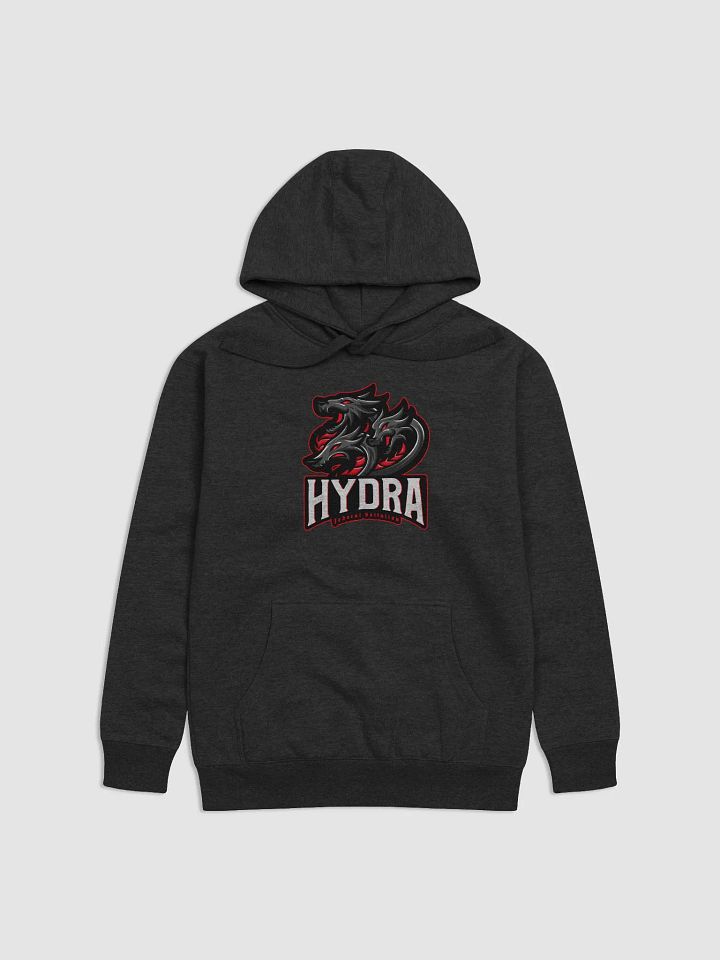 FHB hoodie product image (1)
