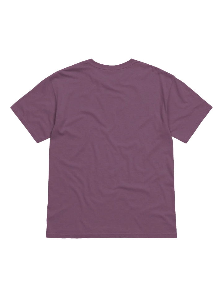 REBINJAK Star Logo Cotton T-Shirt product image (15)