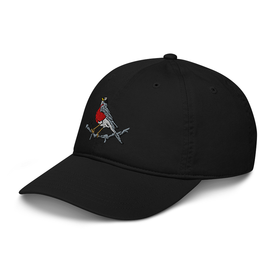 Colorful American Red Robin Embroidered Dad Hat product image (8)