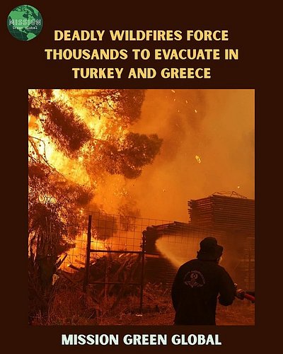 These wildfires are sending us a warning, it is time to stand up for our climate and make some changes so that these natural ...