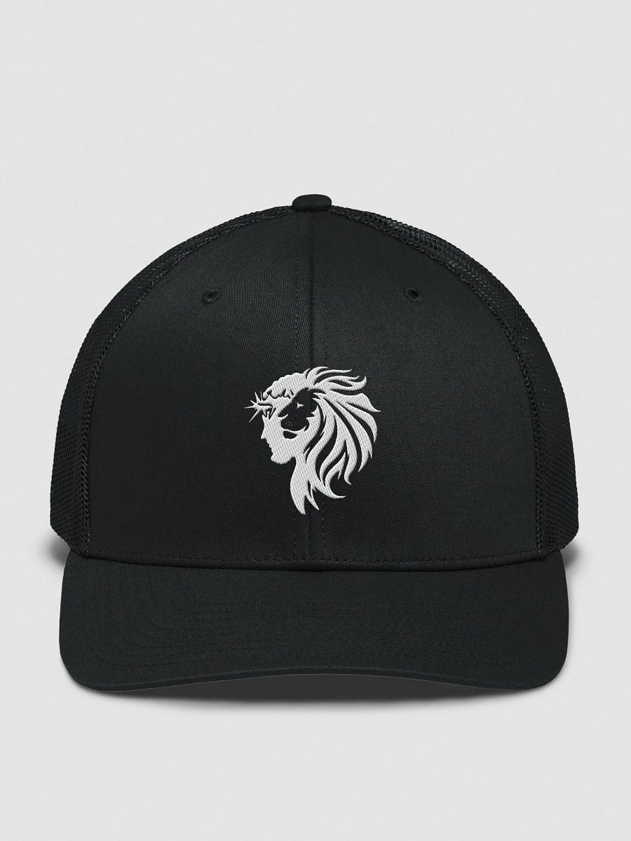 Lion of Judah product image (5)