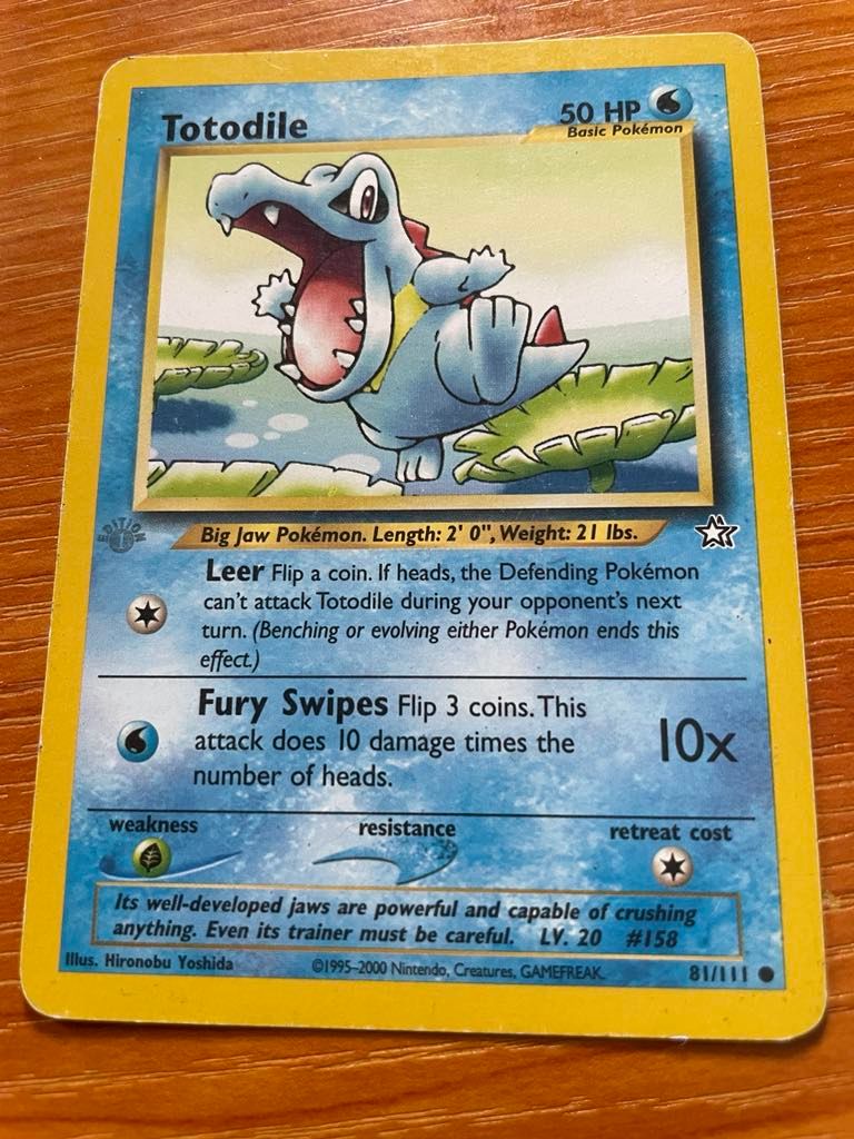 Totodile (NG 81) product image (1)