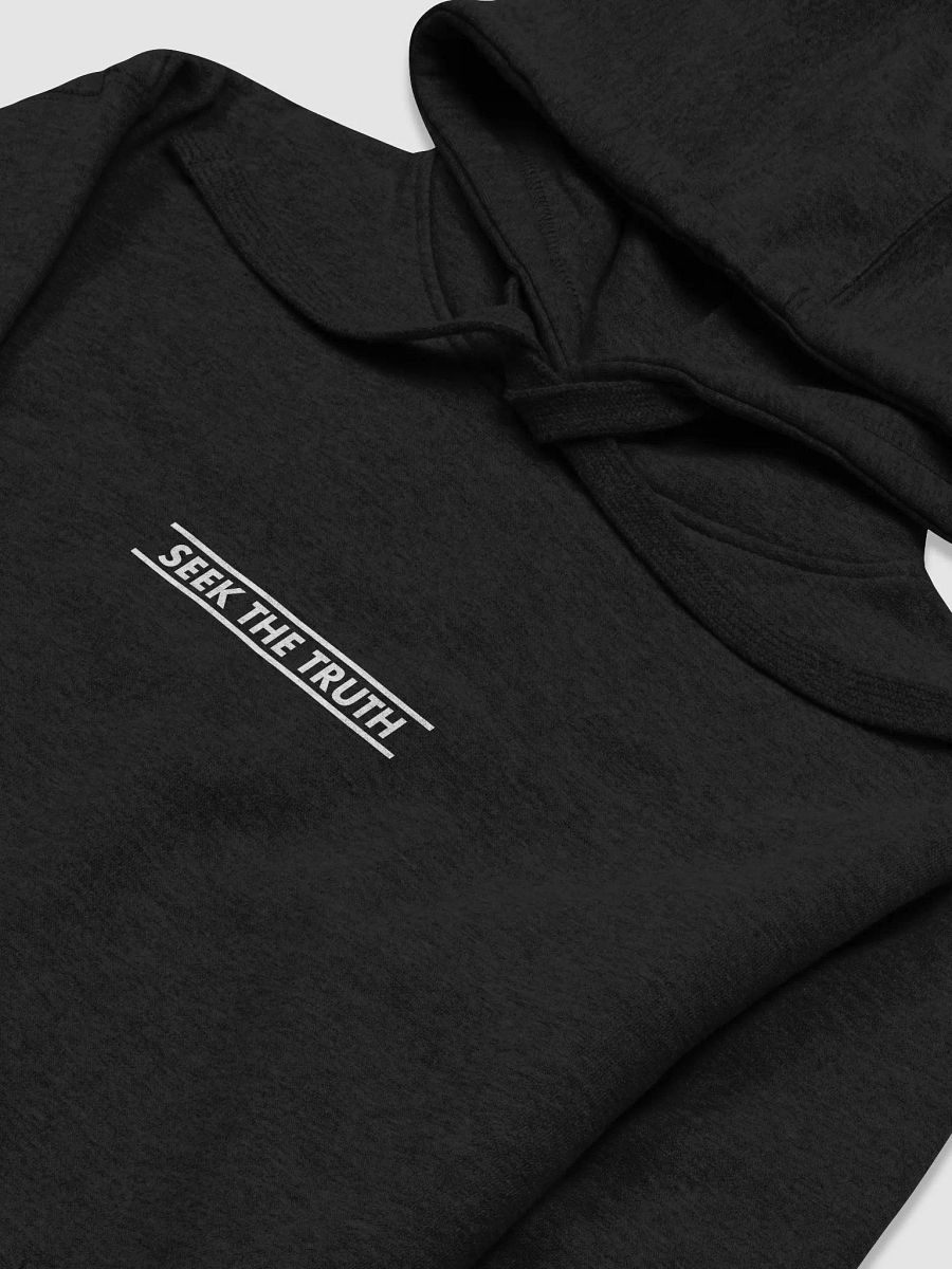 Seek The Truth (hoodie) product image (3)