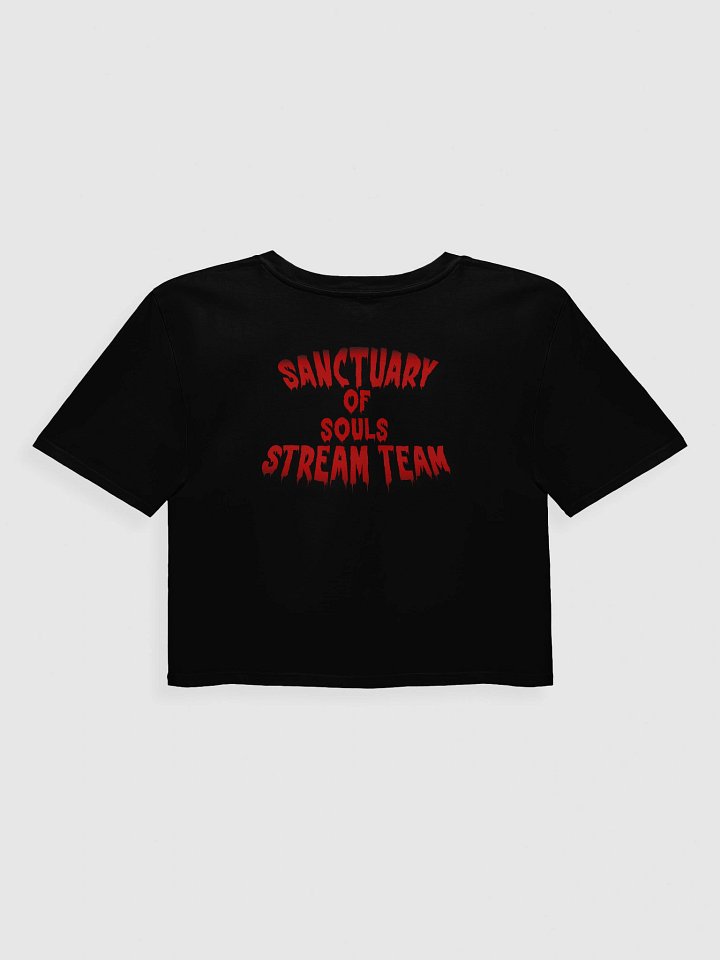 Sanctuary of Souls Cropped Tee product image (2)