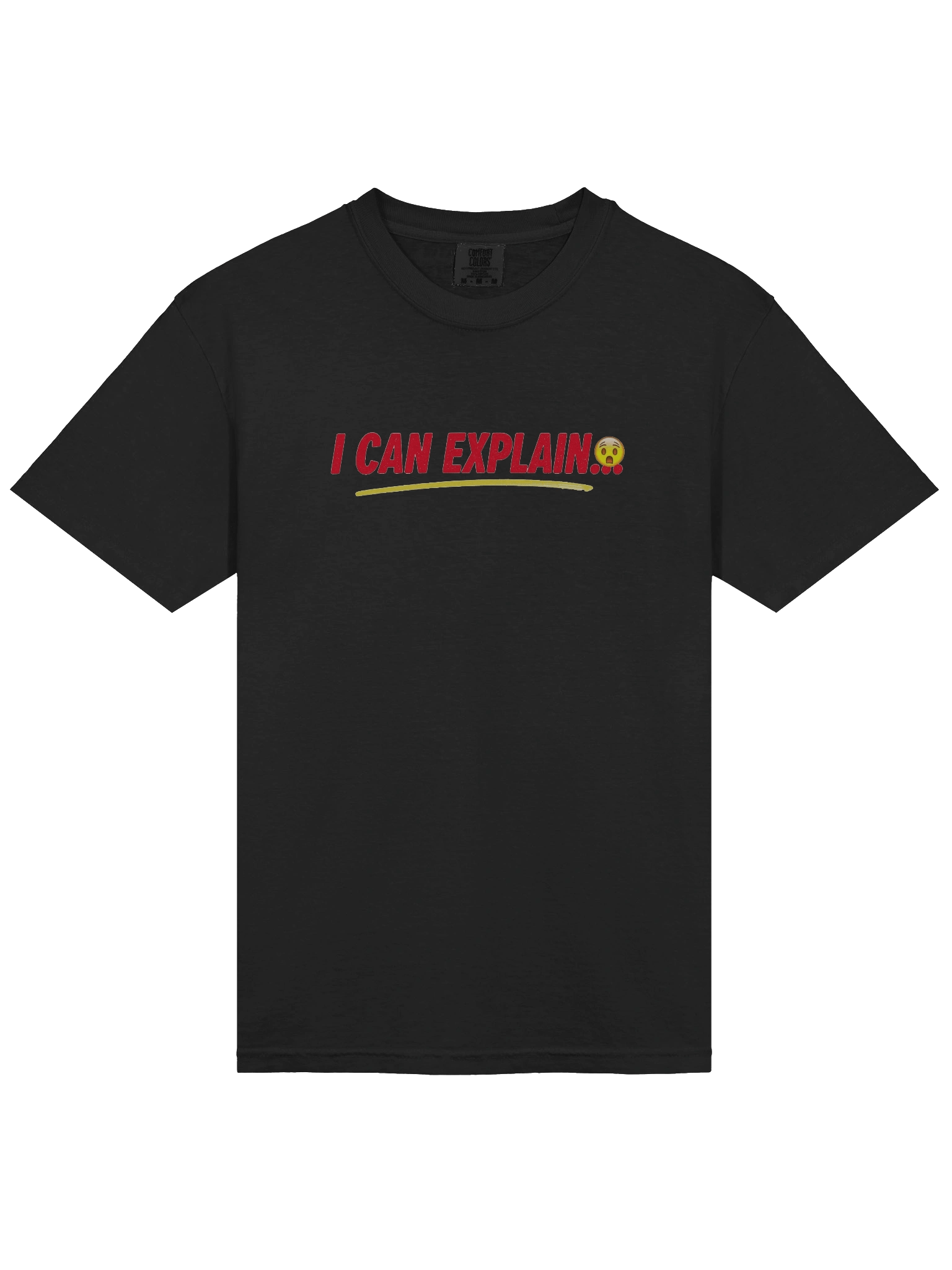 I CAN EXPLAIN Tee | Holiday Chaos Edition | Comfort Colors 1717 product image (5)