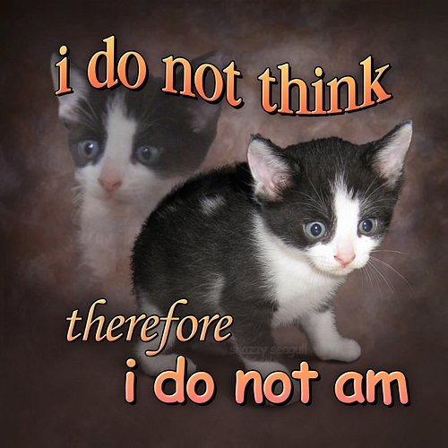 it’s exam season again 🫩 thank god I’m graduating and these exams & projects will be my last ones forever and ever unless I c...