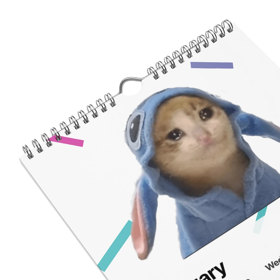 Wall Calendar (2024): Meme Cats product image (9)