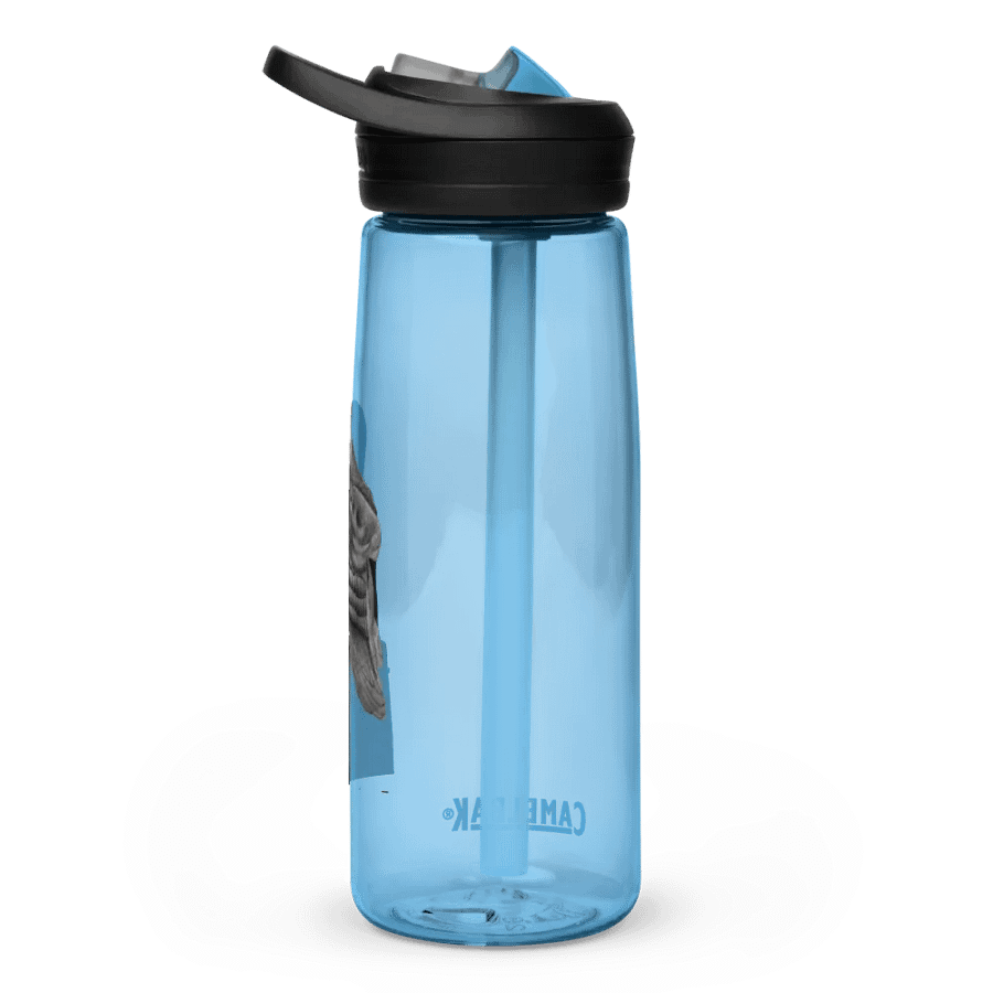 Barn Owl Drawing Water Bottle Straw product image (61)