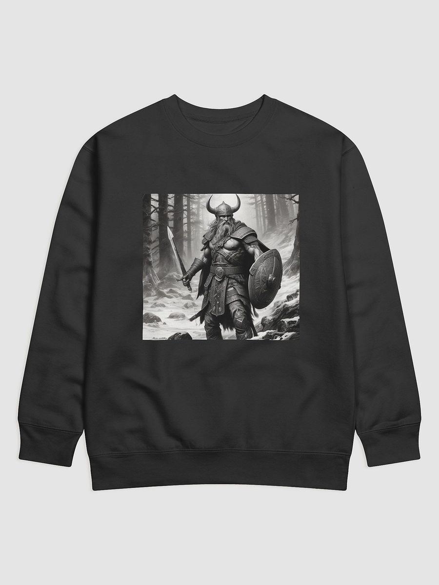 Viking Warrior product image (4)