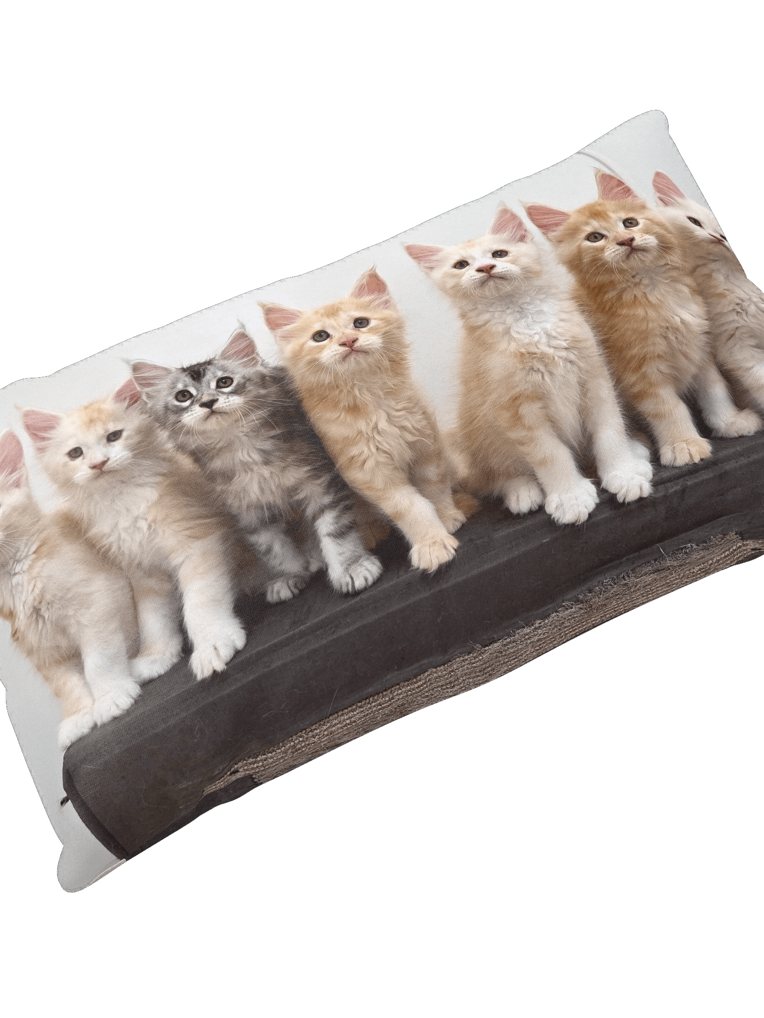 Freya's Kittens - Pillow product image (2)