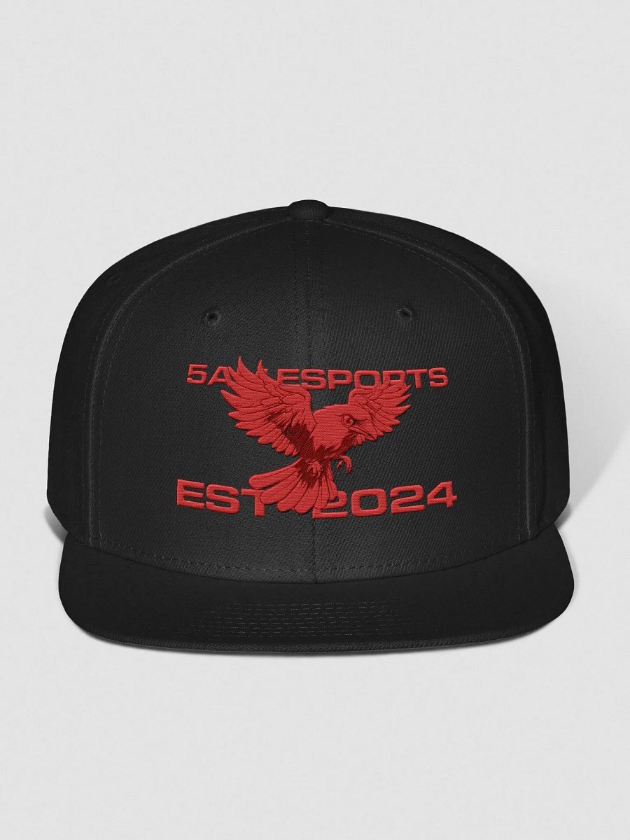 5AM eSports Raven Snapback Cap product image (1)