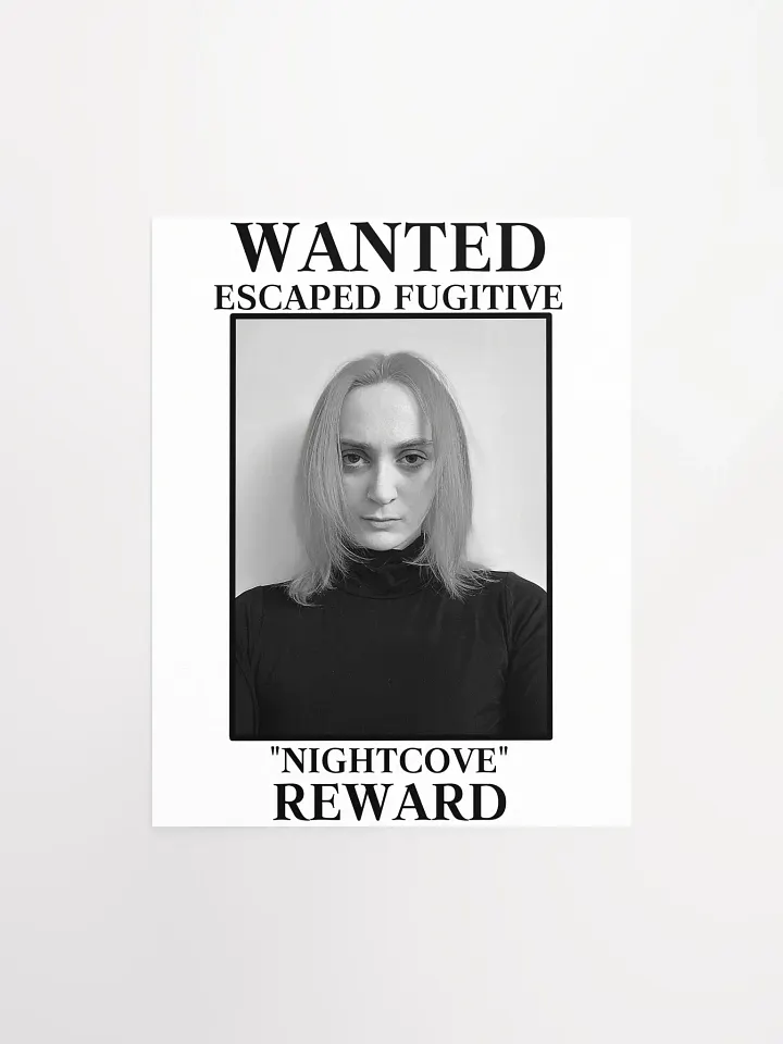 The Villain WANTED Poster product image (1)
