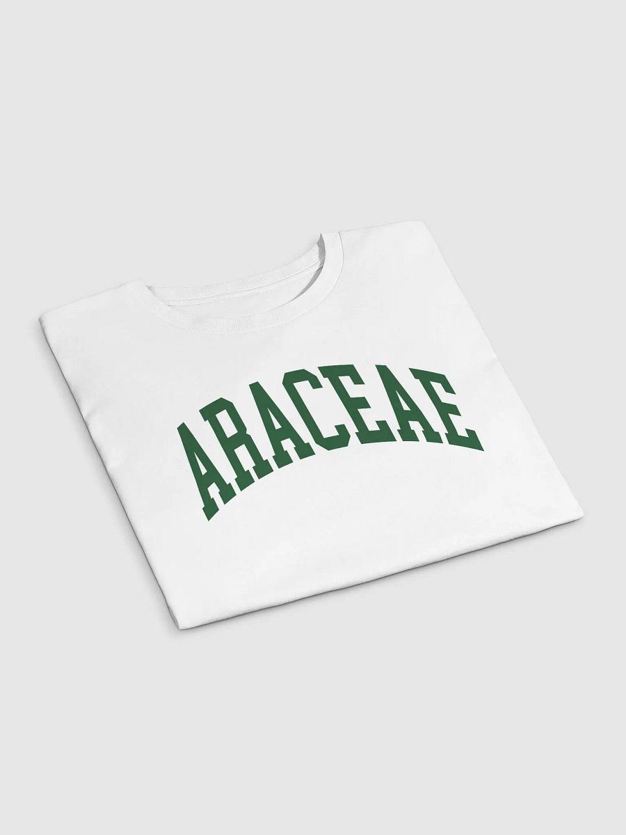 ARACEAE varsity crop top product image (5)