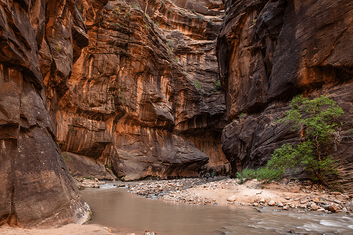 Print - The Narrows, Zion National Park product image (13)