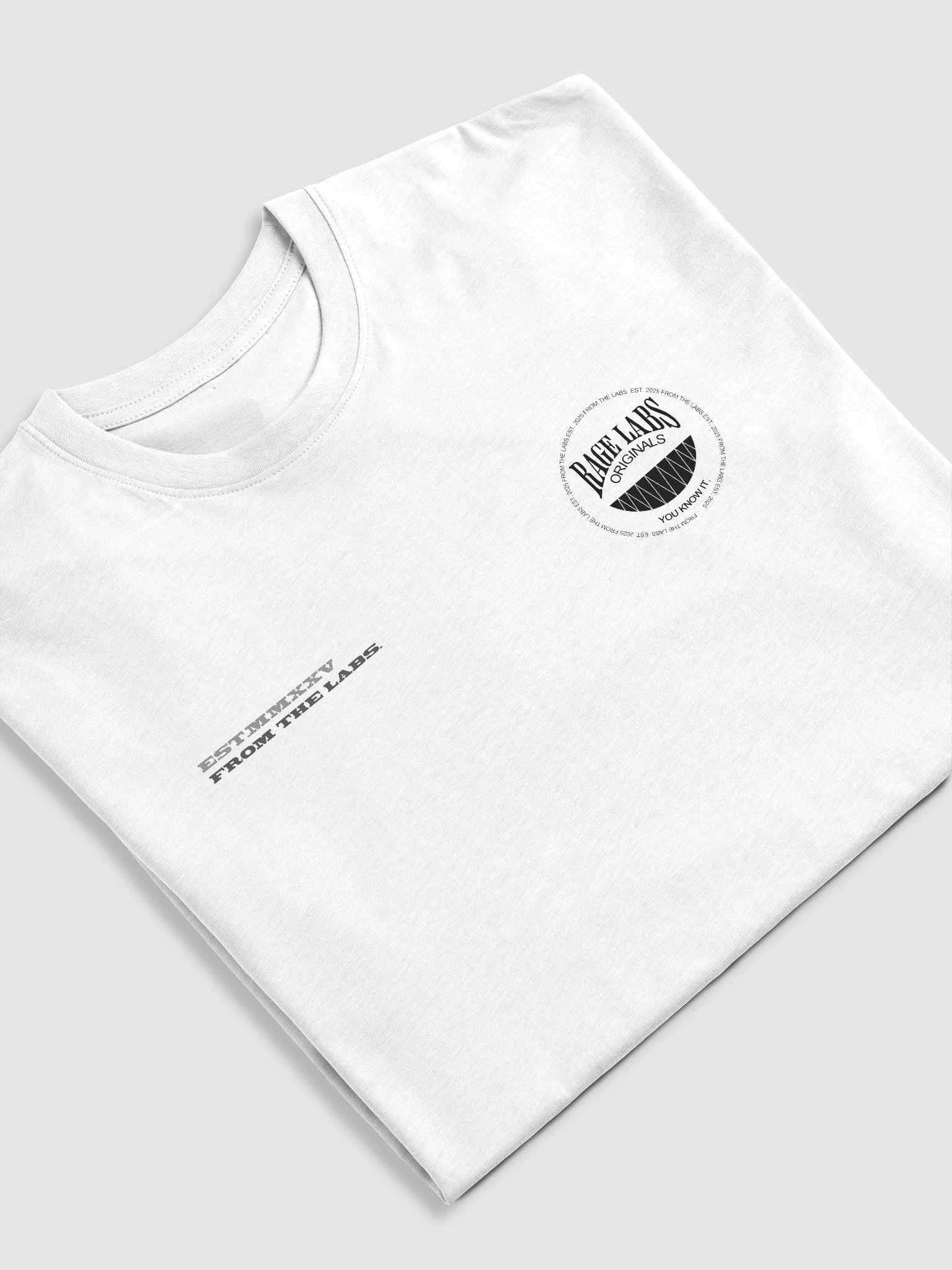 OVERSIZED TEE - RAGE LABS product image (5)