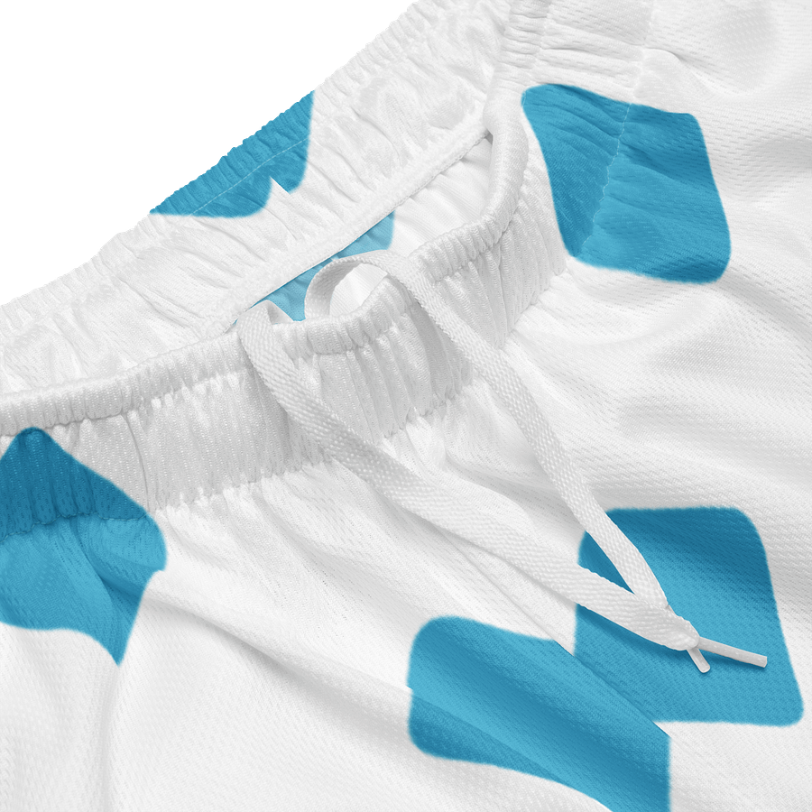 Team Pickle Fit Diamond Gradient Mesh Shorts product image (4)