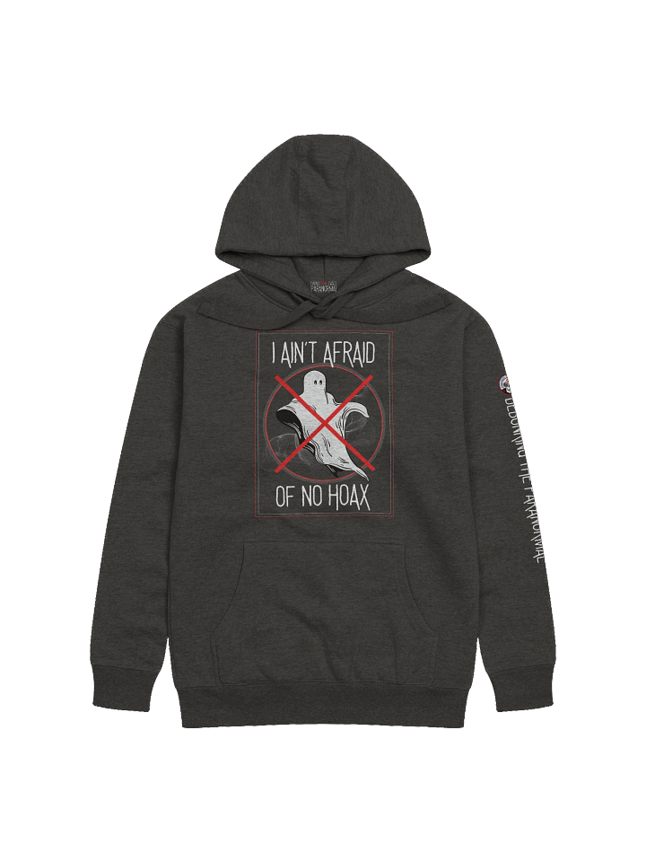 I Ain’t Afraid of No Hoax Hoodie – Warmth for the Cold, Hard Truth product image (2)