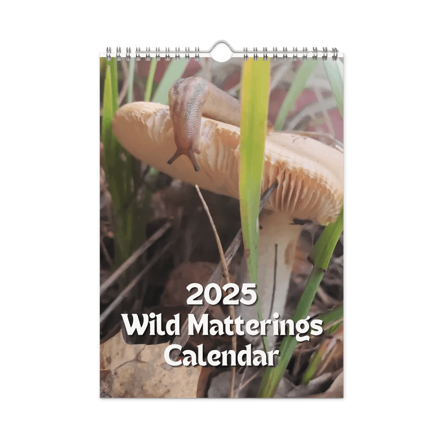 2025 Calendar product image (3)