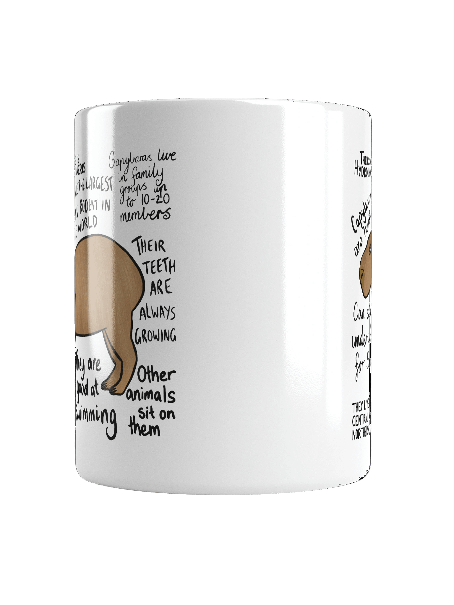 Capybara Facts Mug product image (18)