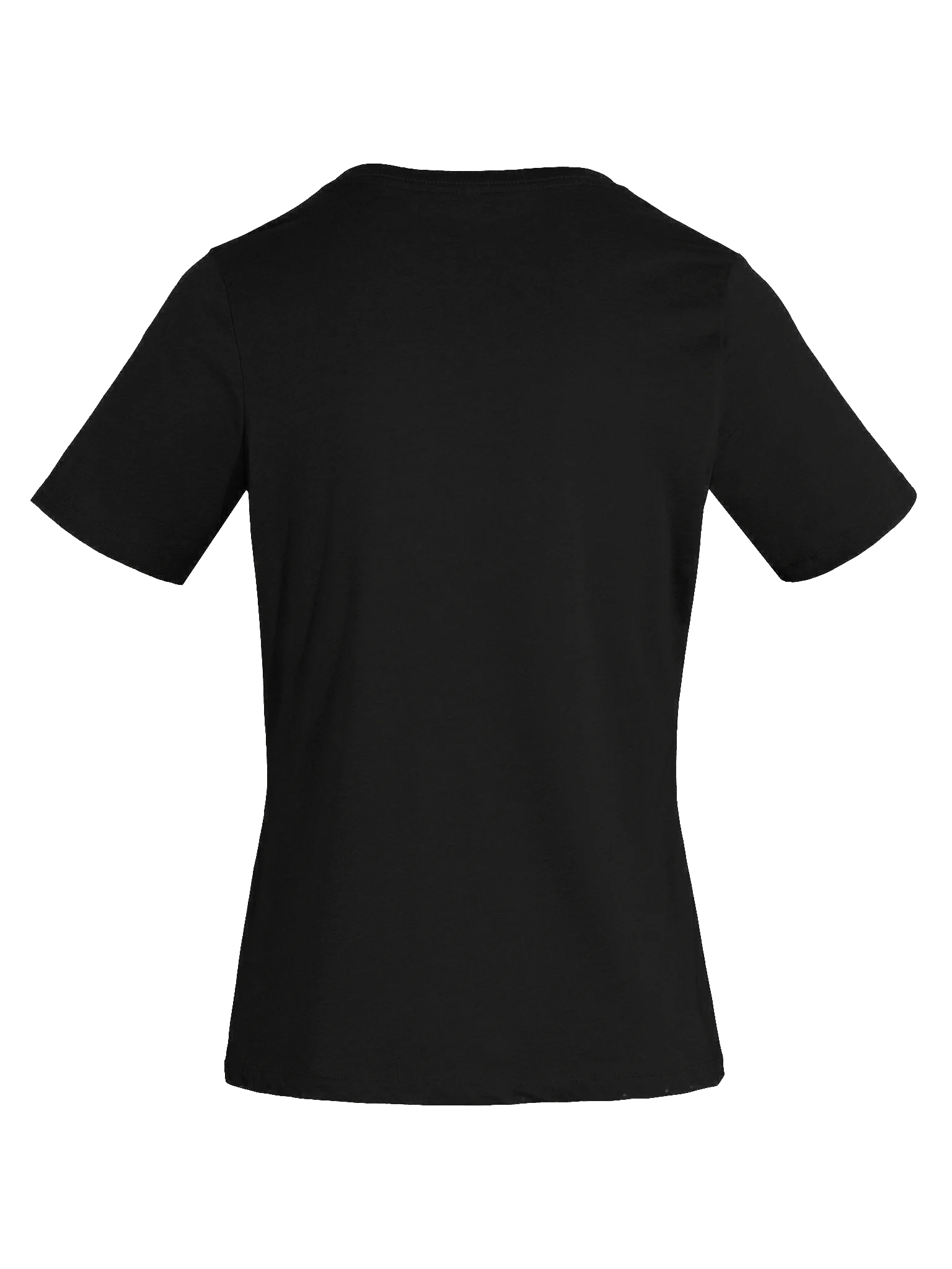 Sashas Signature V-Neck Tee product image (7)