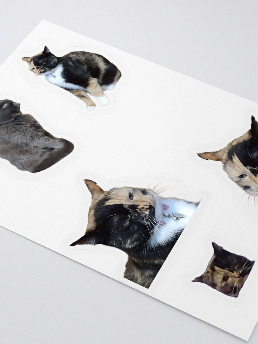 Judging Intensely Sticker Sheet product image (3)