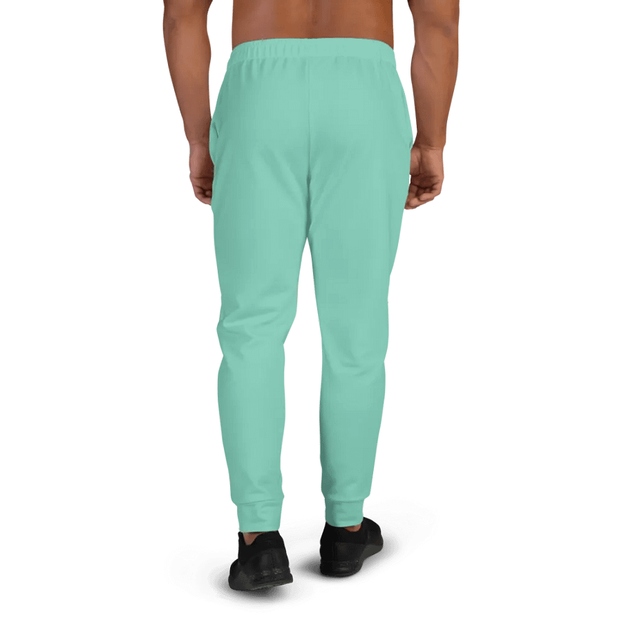 Plain Light Pastel Green Light Summer Recycled Polyester Premium Men's Joggers by Treasure Pie product image (4)