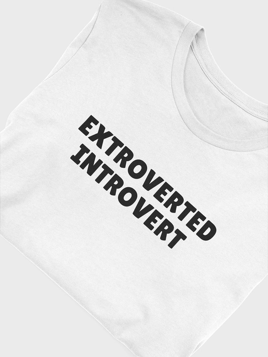 Extroverted Introvert product image (41)