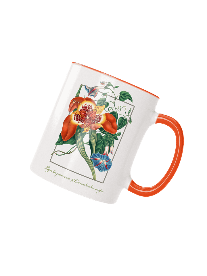 Mexican Tiger-flower, (Tigridia pavonia), and blue Convolvulus major - Ceramic mug product image (2)