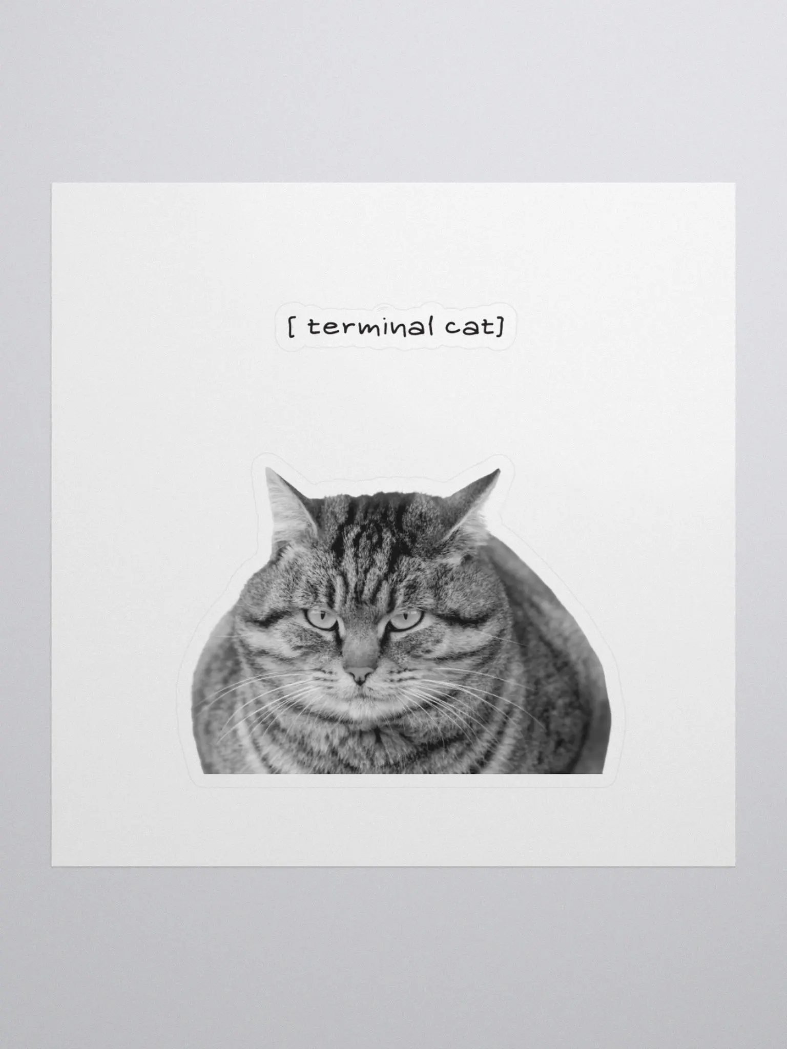 Terminal cat product image (1)
