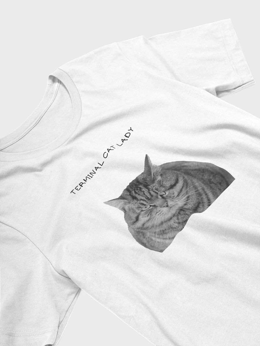Terminal Cat Lady product image (3)