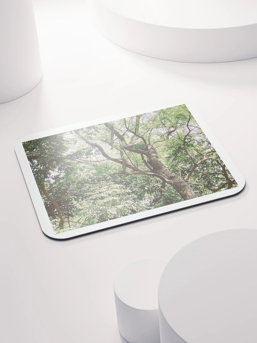 EARTH TONE MOUSE PAD product image (4)