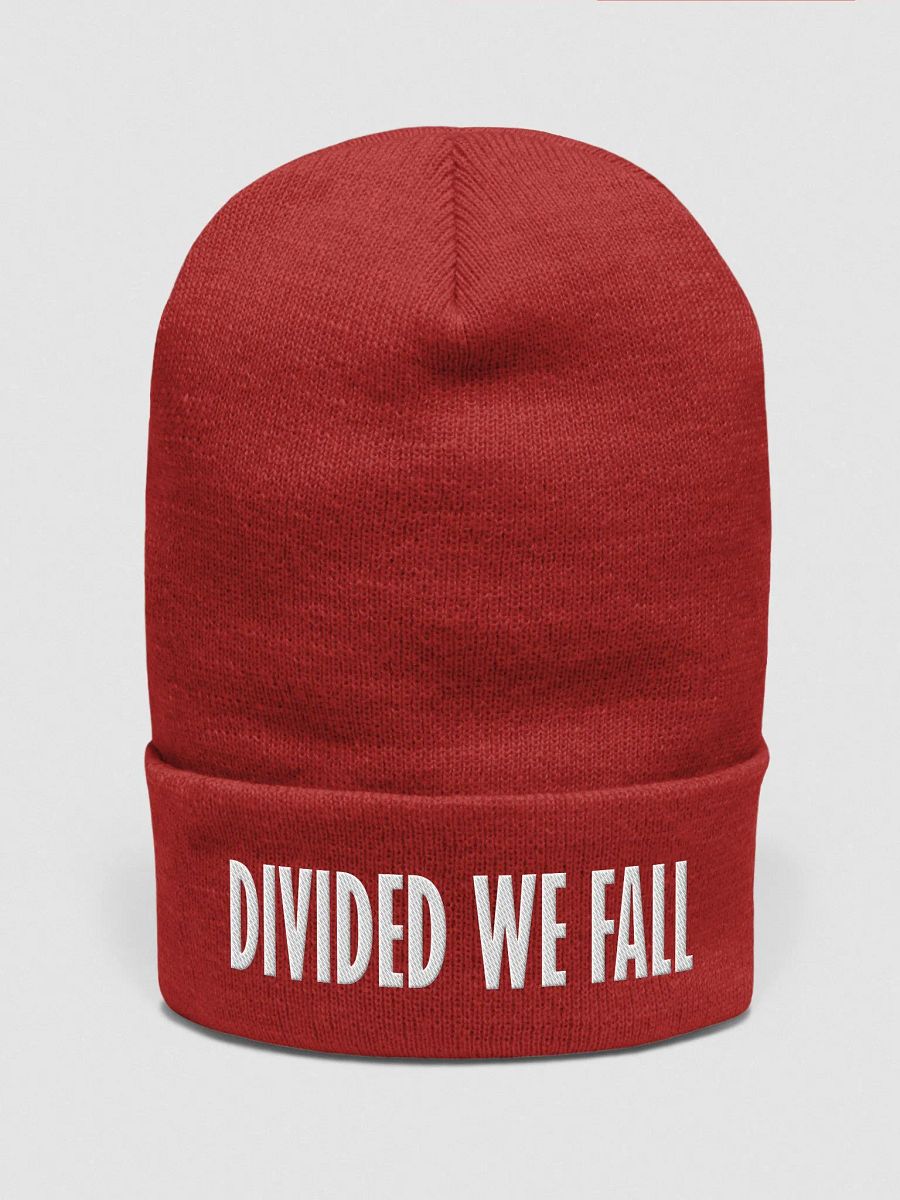 Divided We Fall - White - Yupoong Cuffed Beanie product image (1)