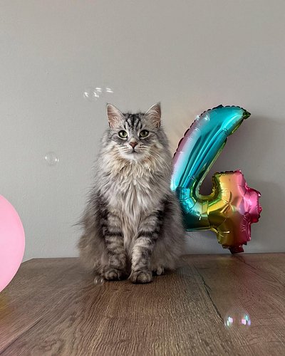 Toby’s birthday