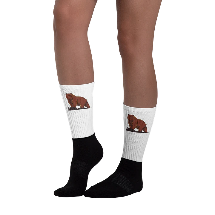 Bearz Socks product image (1)