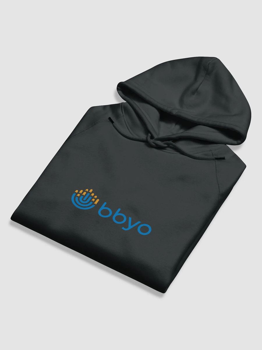 BBYO Hoodie product image (5)