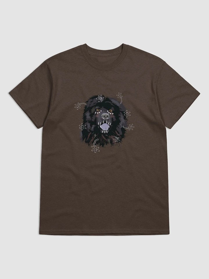 Bear dance product image (1)