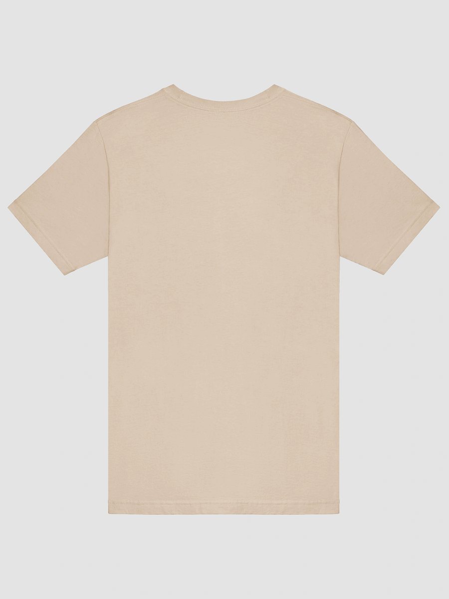 Mirror Message Tee – “I Am Fabulous” in Reverse (Read it in the Mirror) product image (44)