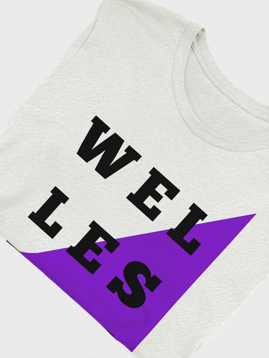 Reunion Tee with Retro Wellesley Flag product image (5)