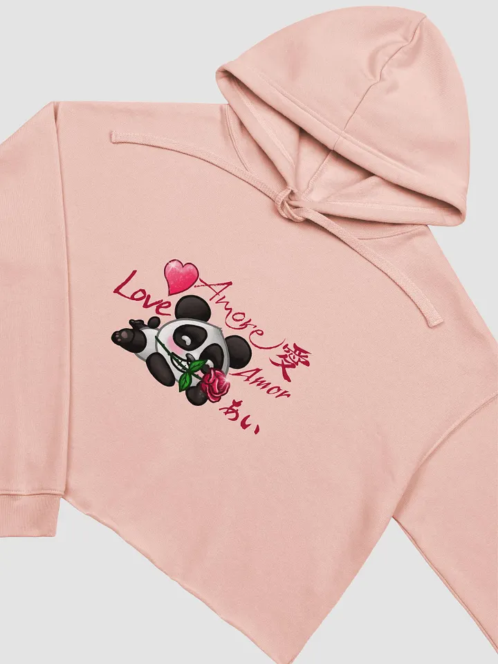 Love Languages Crop Hoodie product image (2)