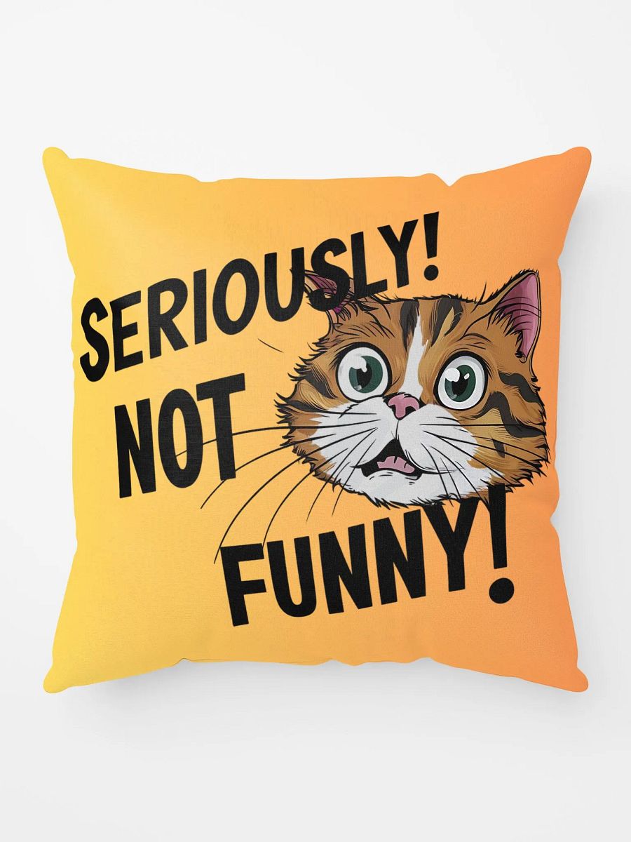 Seriously! Not Funny!